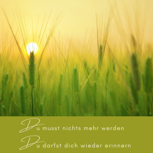 Read more about the article Du bist bereits vollkommen